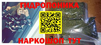 амф Кандалакша