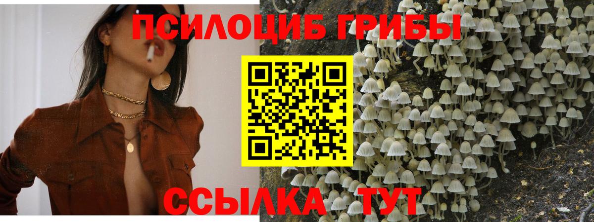 Галлюциногенные грибы MAGIC MUSHROOMS Людиново