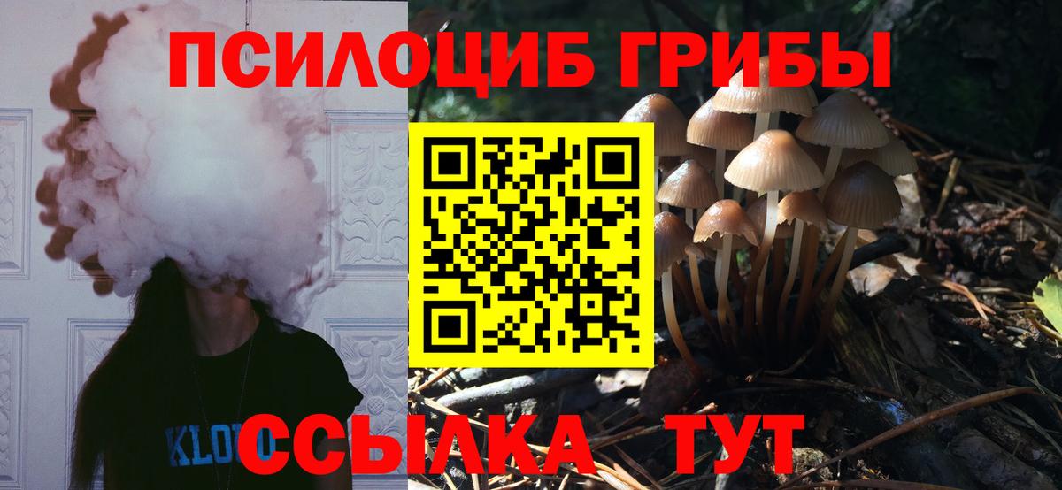 Людиново  Псилоцибиновые грибы мицелий  Вход с VPN 